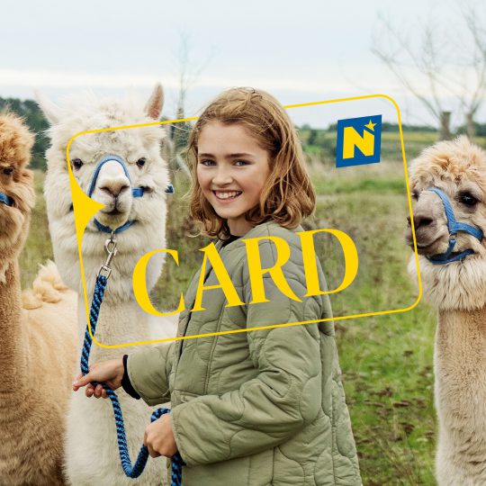 NÖ Card Alpaka